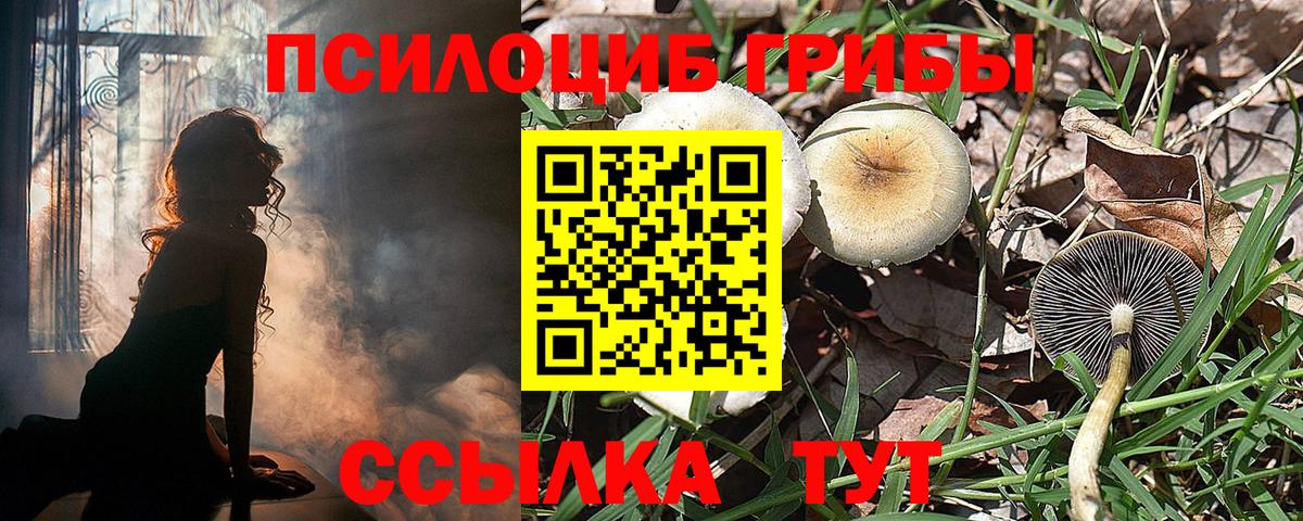 Псилоцибиновые грибы Magic Shrooms  даркнет сайт  Галлюциногенные грибы Psilocybine cubensis  Солнечногорск  Вход с VPN 